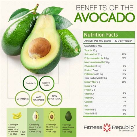 are avocados a good source of omega 3|how much omega 3 in avocado.